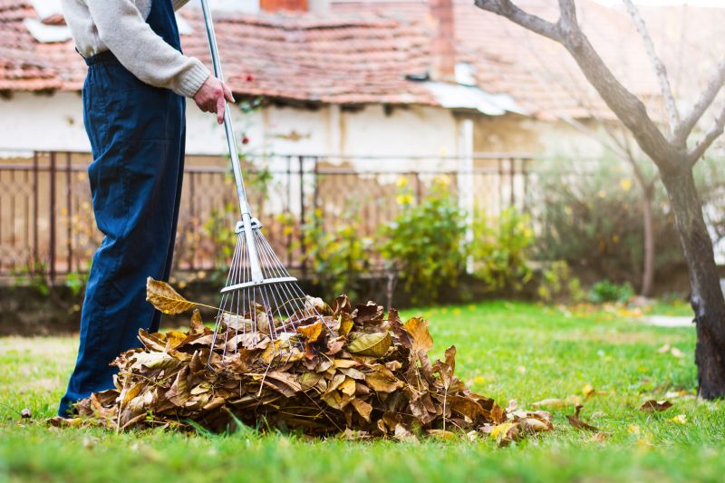 Seasonal Landscape Care